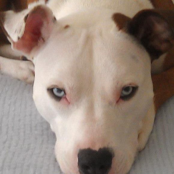 Meet your Posher, Mary - Picture 1 of 1